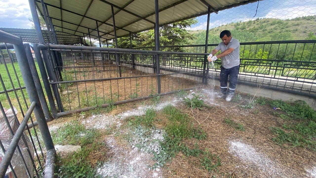 Taşköprü Belediyesi’nden Kurban Bayramı Öncesi Hayvan Pazarında Hijyen Çalışması (3)