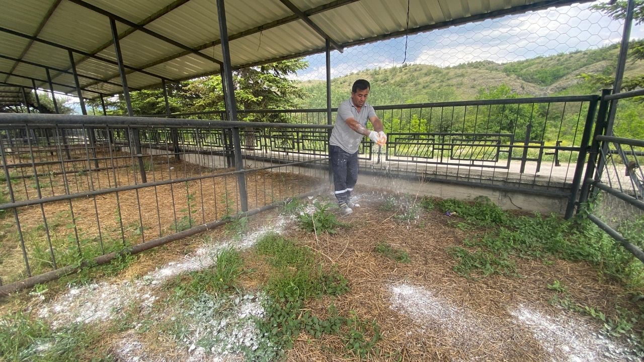 Taşköprü Belediyesi’nden Kurban Bayramı Öncesi Hayvan Pazarında Hijyen Çalışması (4)