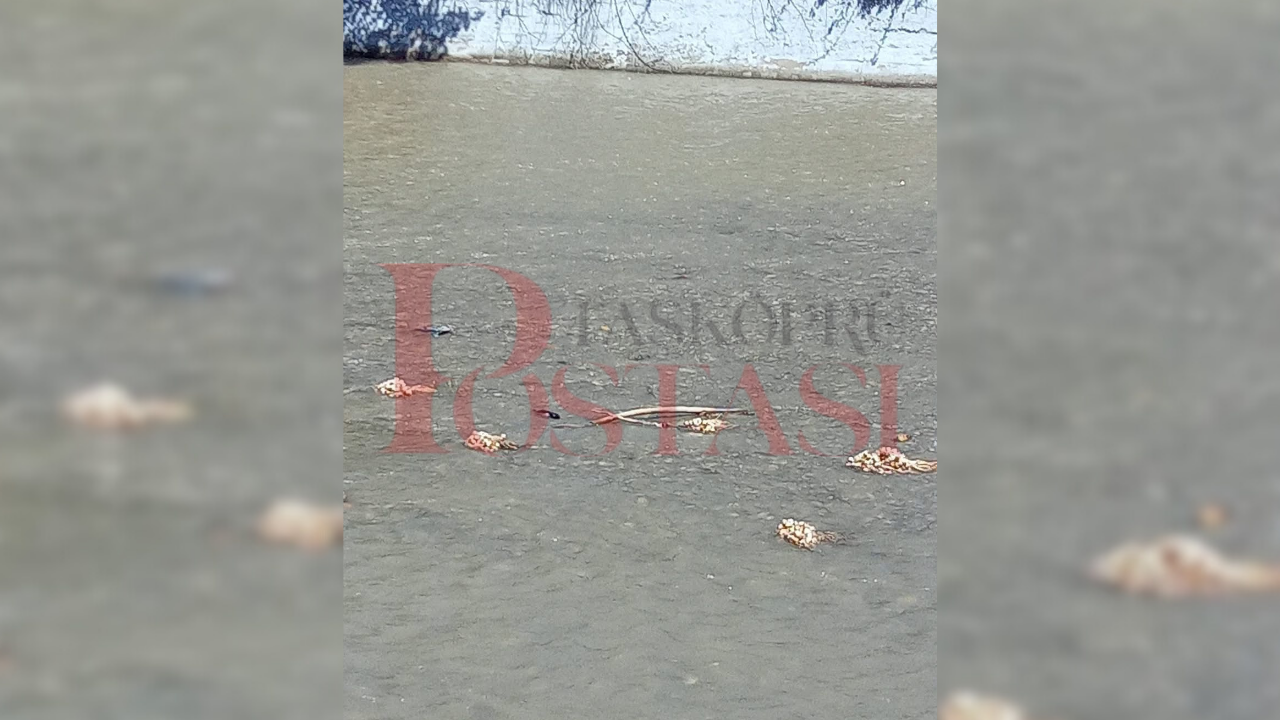 Taşköprü’de Gökırmak’a Sarımsak Döküldü! 22