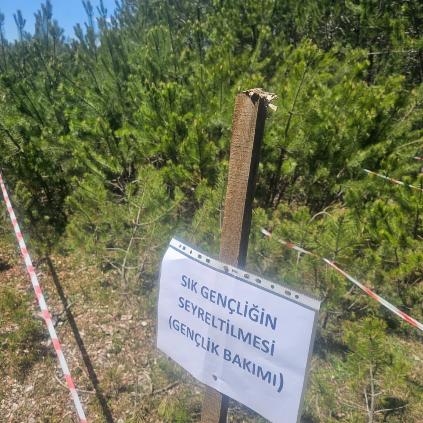 Taşköprü’de Orman Yönetimi Güçleniyor Eğitimlerle Donanım Artıyor 3