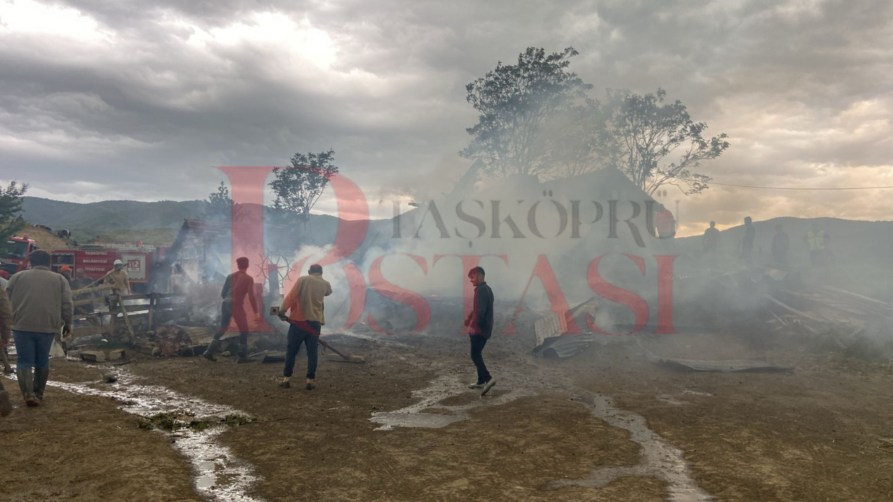 Taşköprü'nün Köyünde Feci Yangın 3 Yapı Kül Oldu! 5