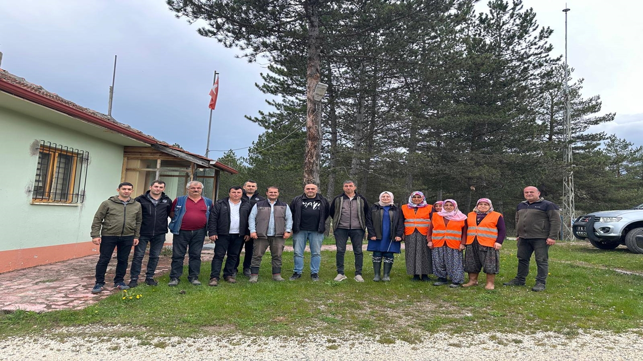 Tohum Bahçesi (4)