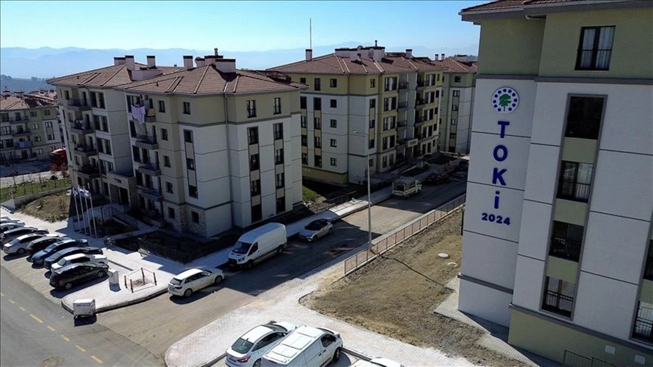 Toki Dijital (2)