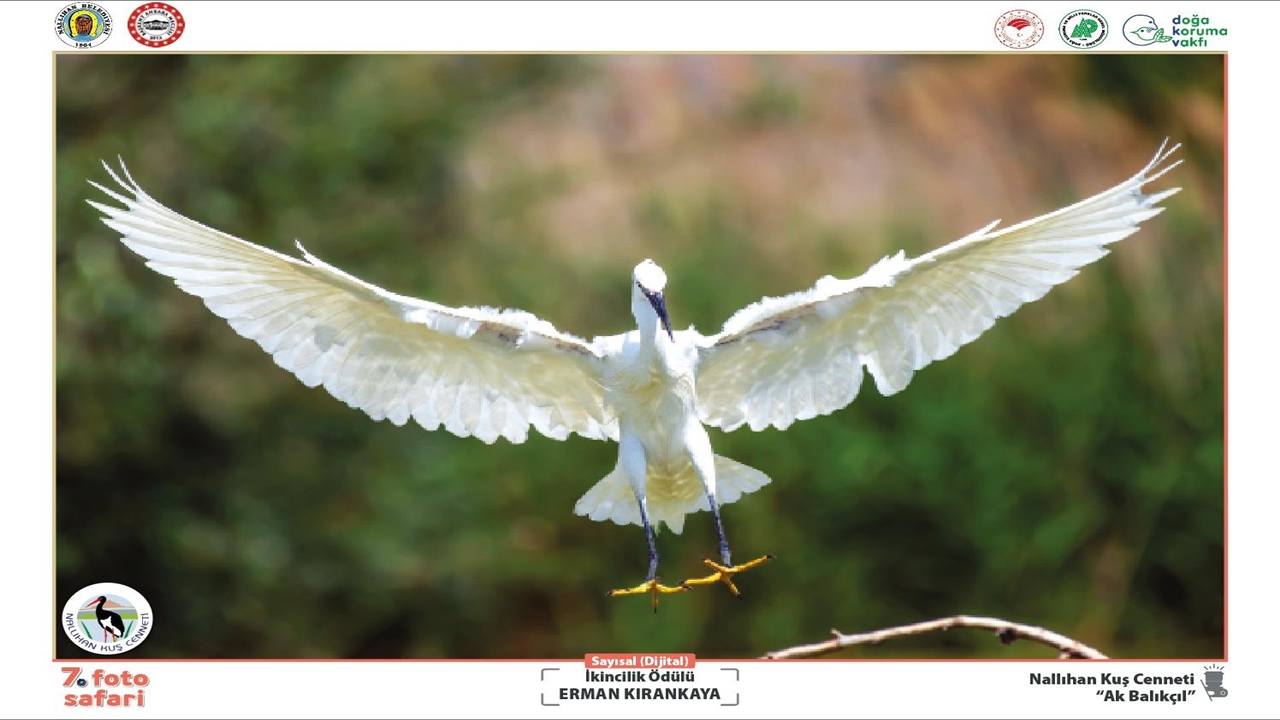 Yarışma Fotoğraf (1)