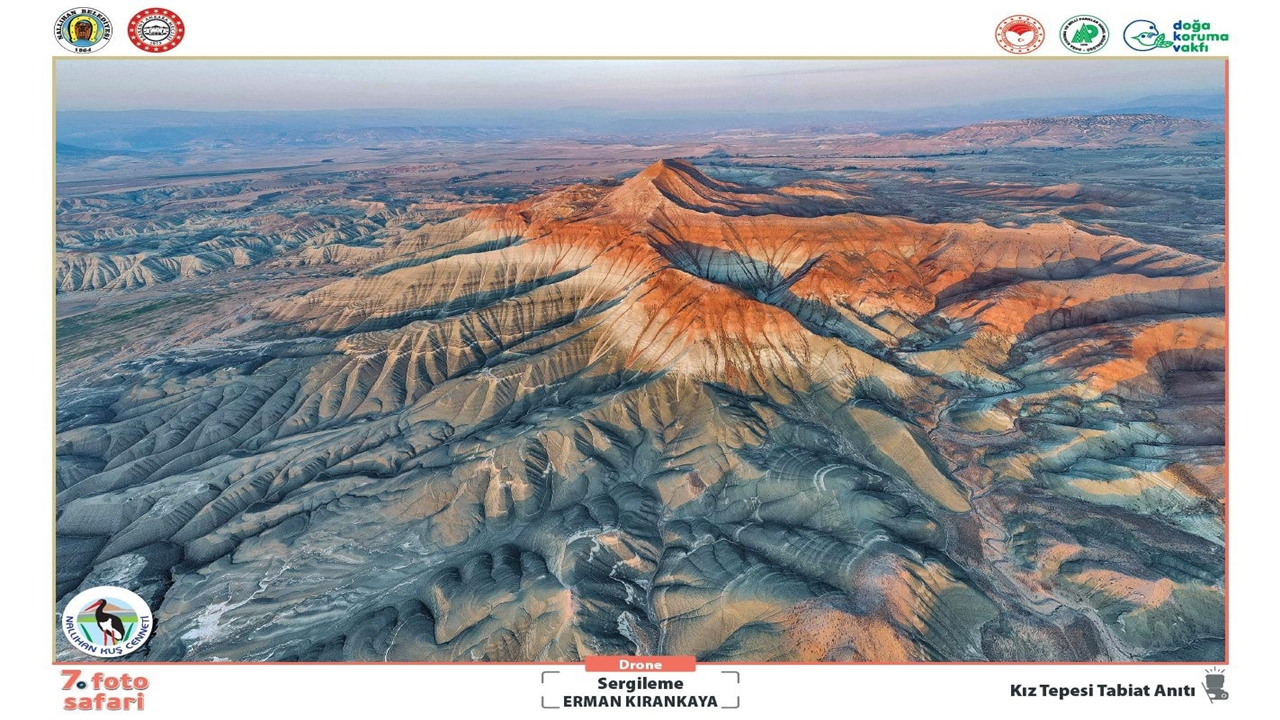Yarışma Fotoğraf (3)