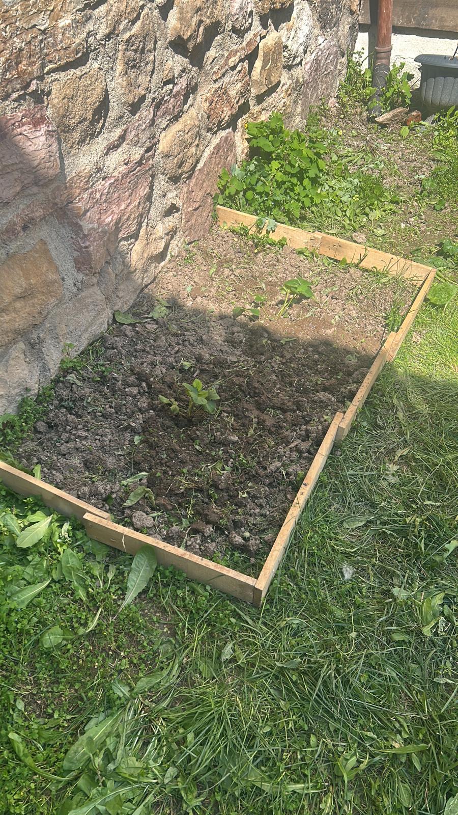 Yeşilay’ın Faaliyetleri Kastamonu’da Takdir Topluyor 12