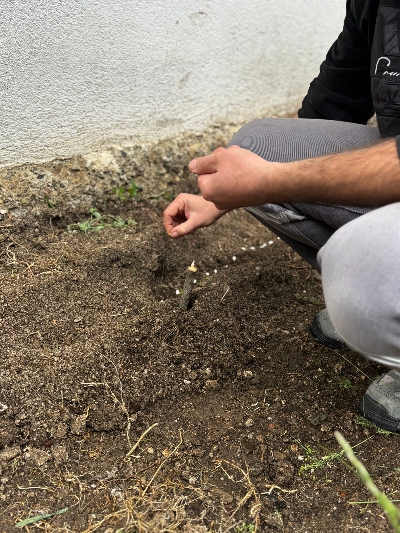 Yeşilay’ın Faaliyetleri Kastamonu’da Takdir Topluyor 16