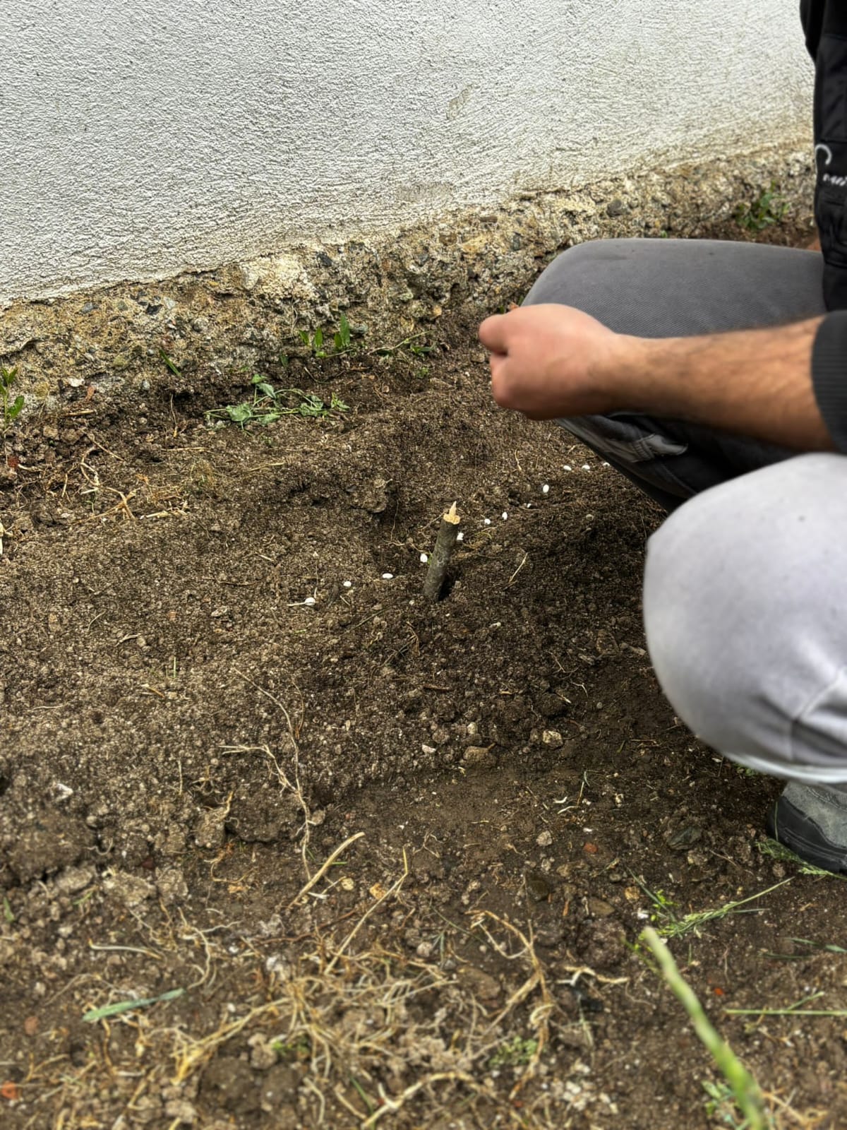 Yeşilay’ın Faaliyetleri Kastamonu’da Takdir Topluyor