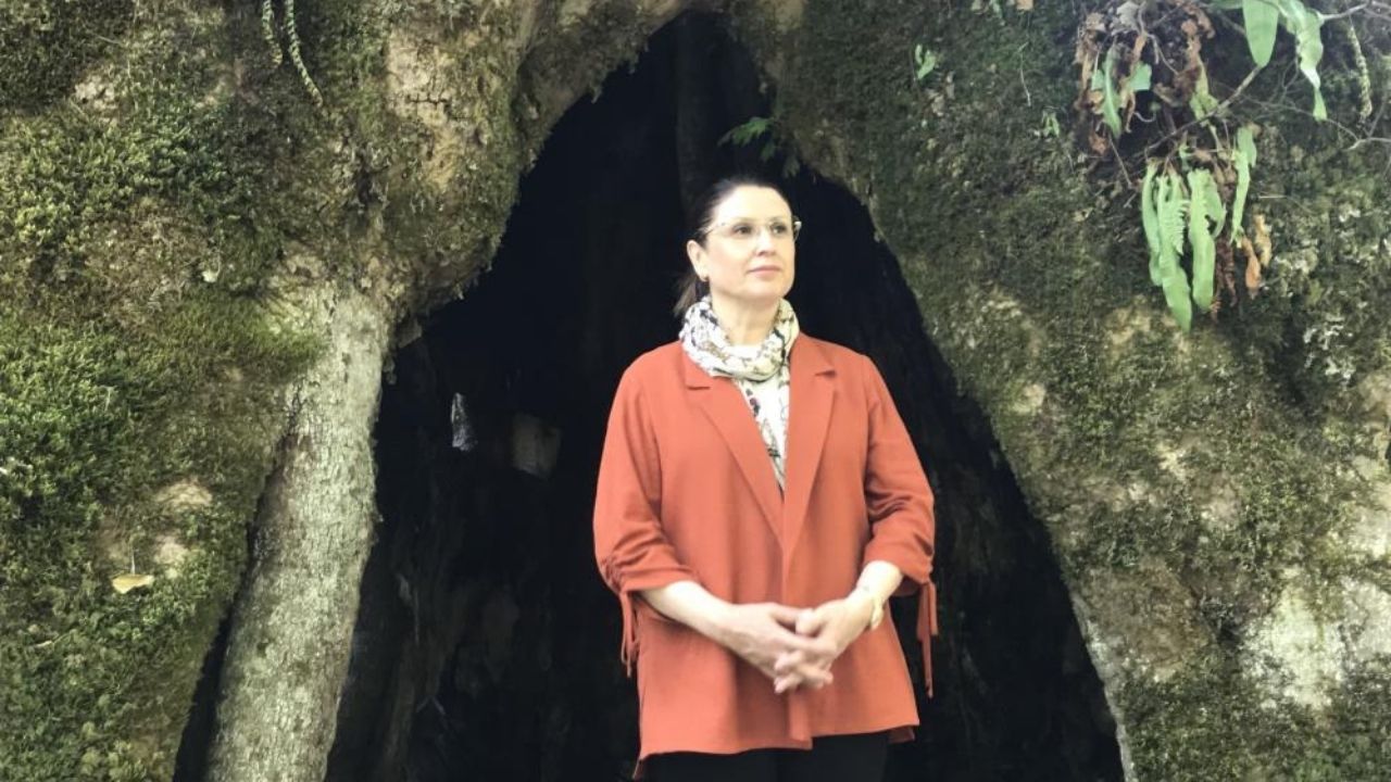 500 Yıllık Yalnızlık Sona Erdi! Kastamonu’nun Hemen Yanında Doğanın Dev Mirası Bulundu (2)