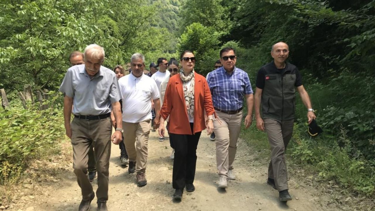 500 Yıllık Yalnızlık Sona Erdi! Kastamonu’nun Hemen Yanında Doğanın Dev Mirası Bulundu (3)