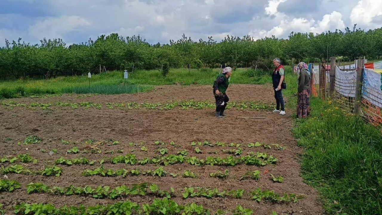 764 Üreticiye Yüzde 50 Hibeli Sera Naylonu Kastamonu’da Tarıma Can Suyu (3)