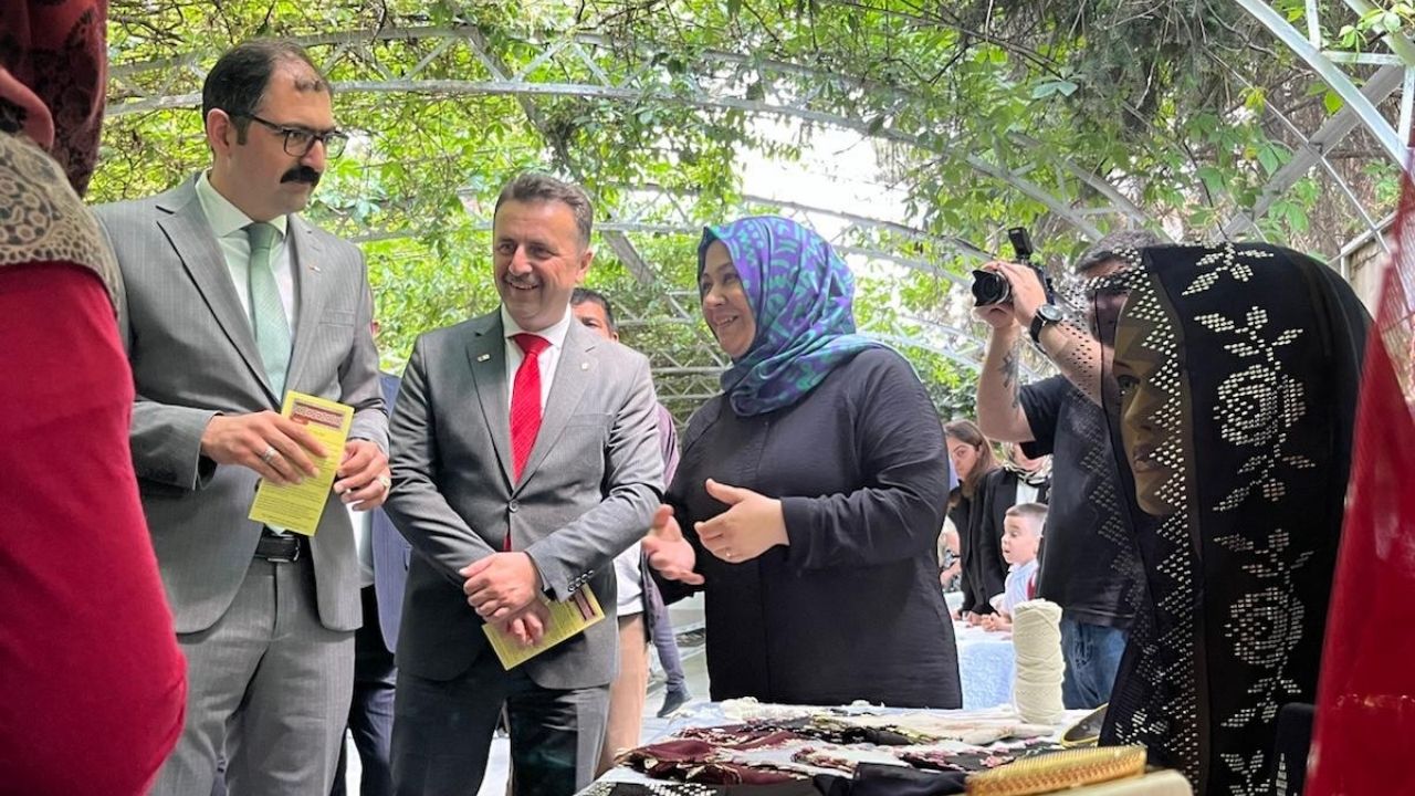 Ahmet Şirin Sergi (2)