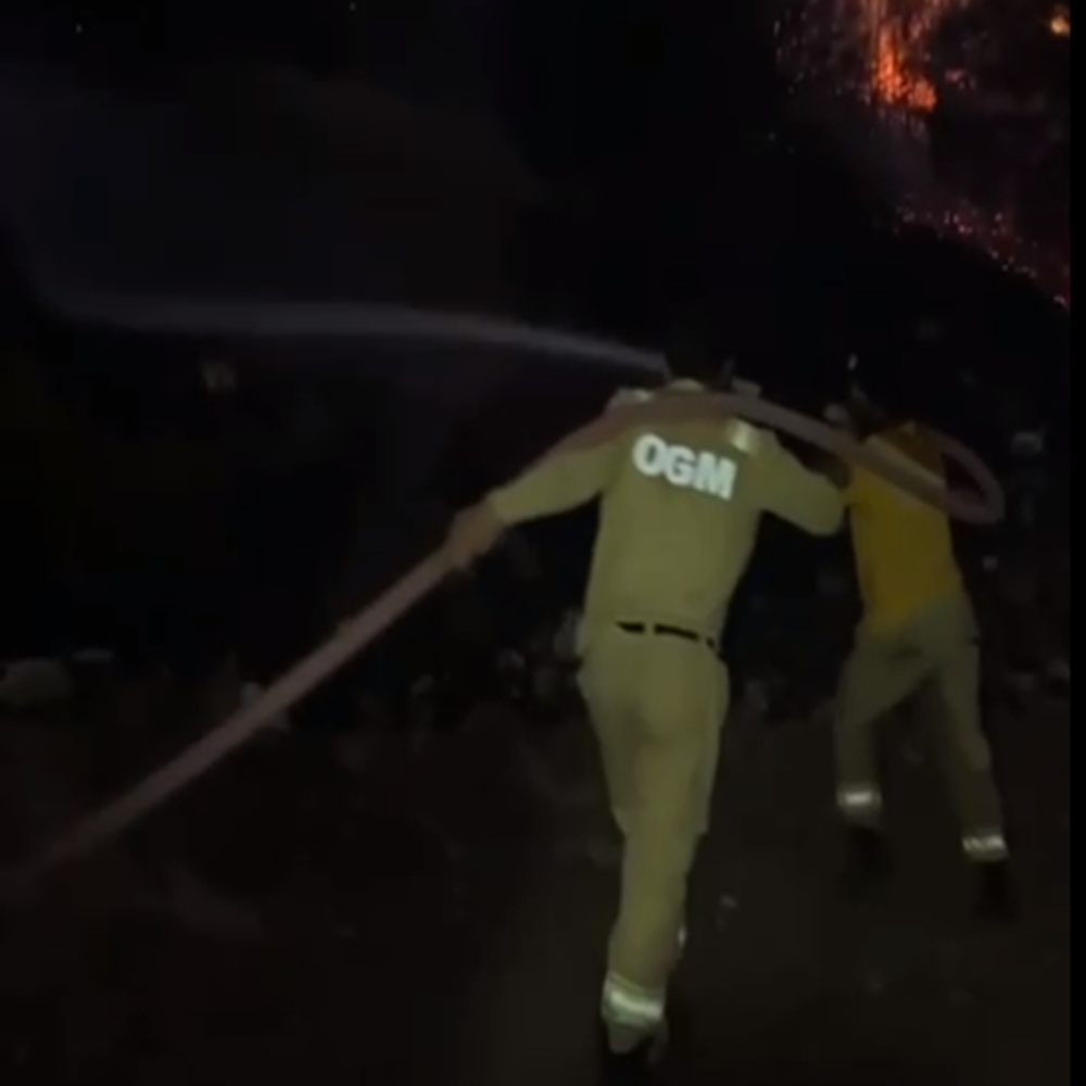 Bozkurt Itfaiye