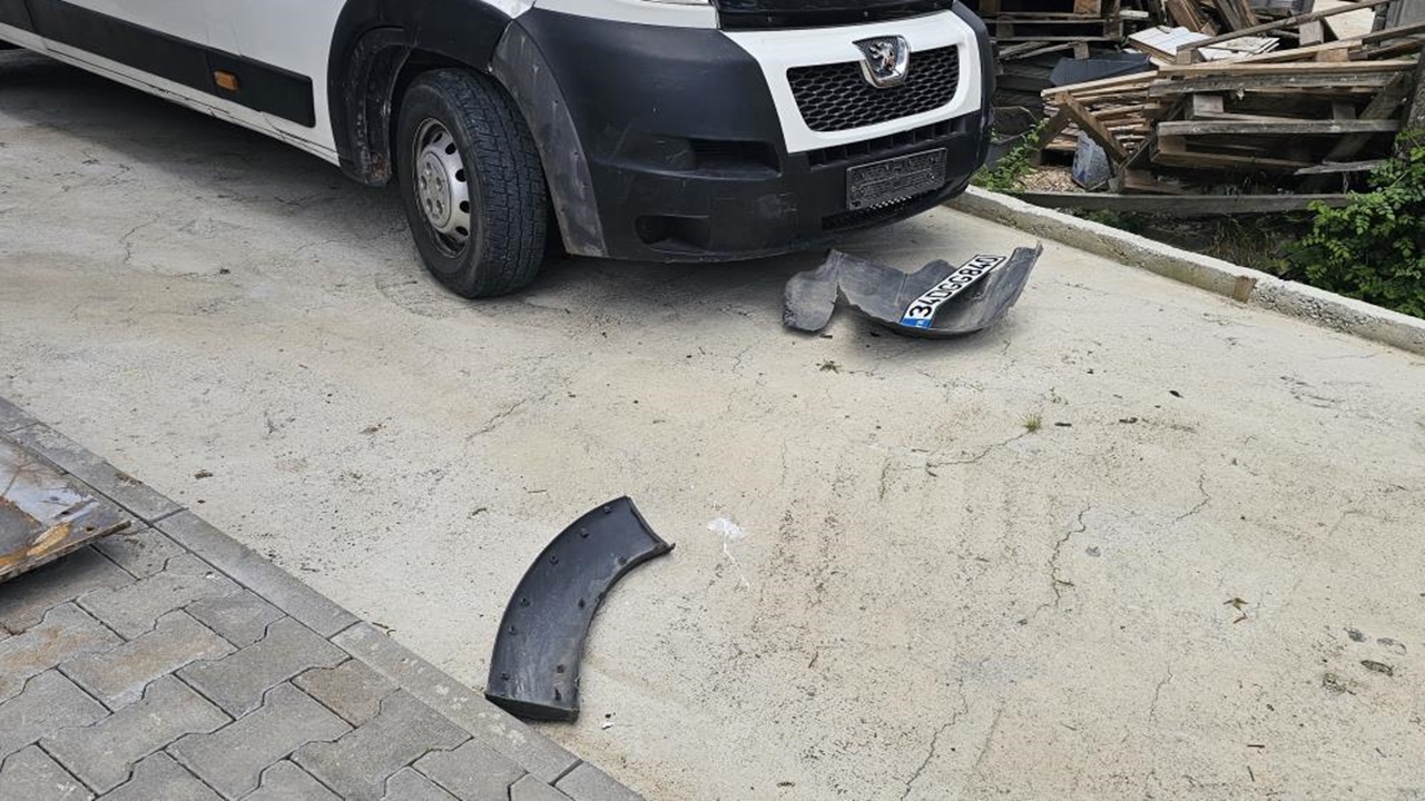 Cide Köpek Saldırısı (2)