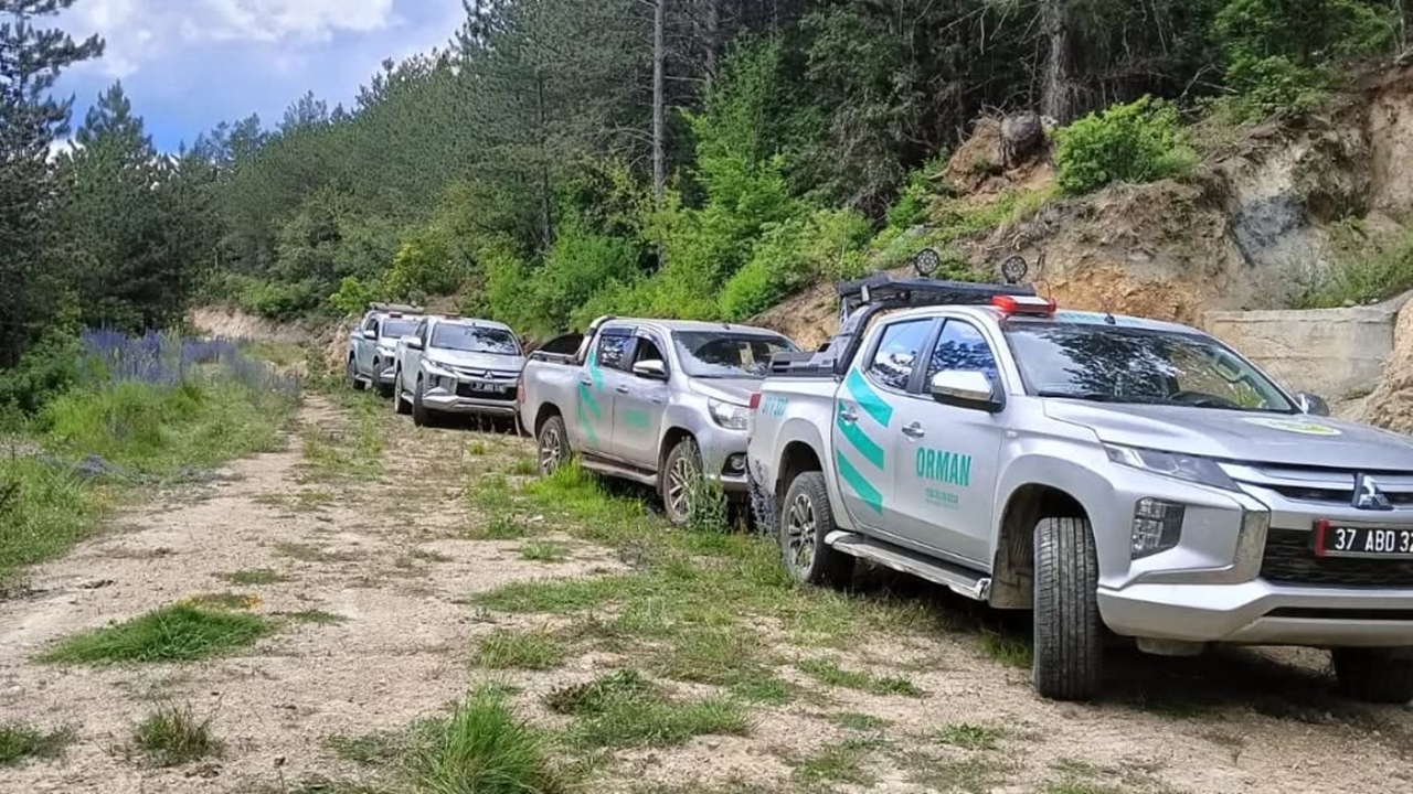 Daday Orman Yangını (2)