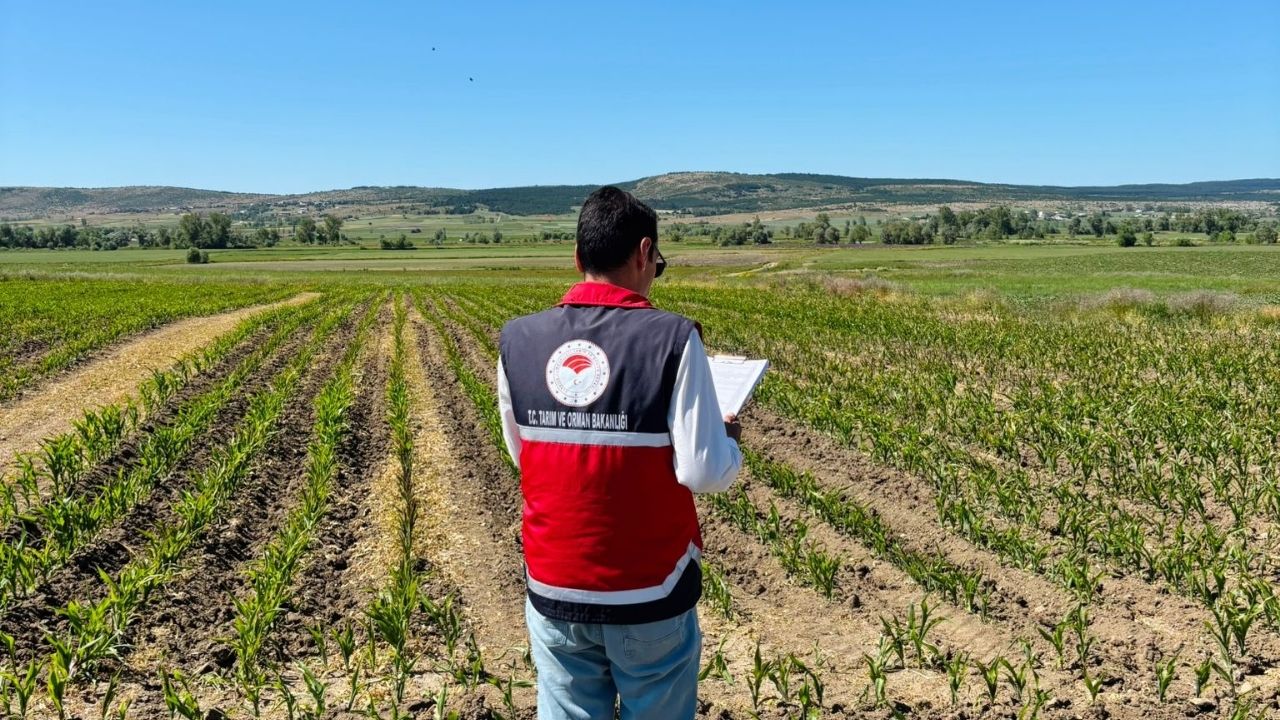 Destek Geldi, Üretim Arttı Kastamonu’da Yüzde 30’Luk Büyüme (2)