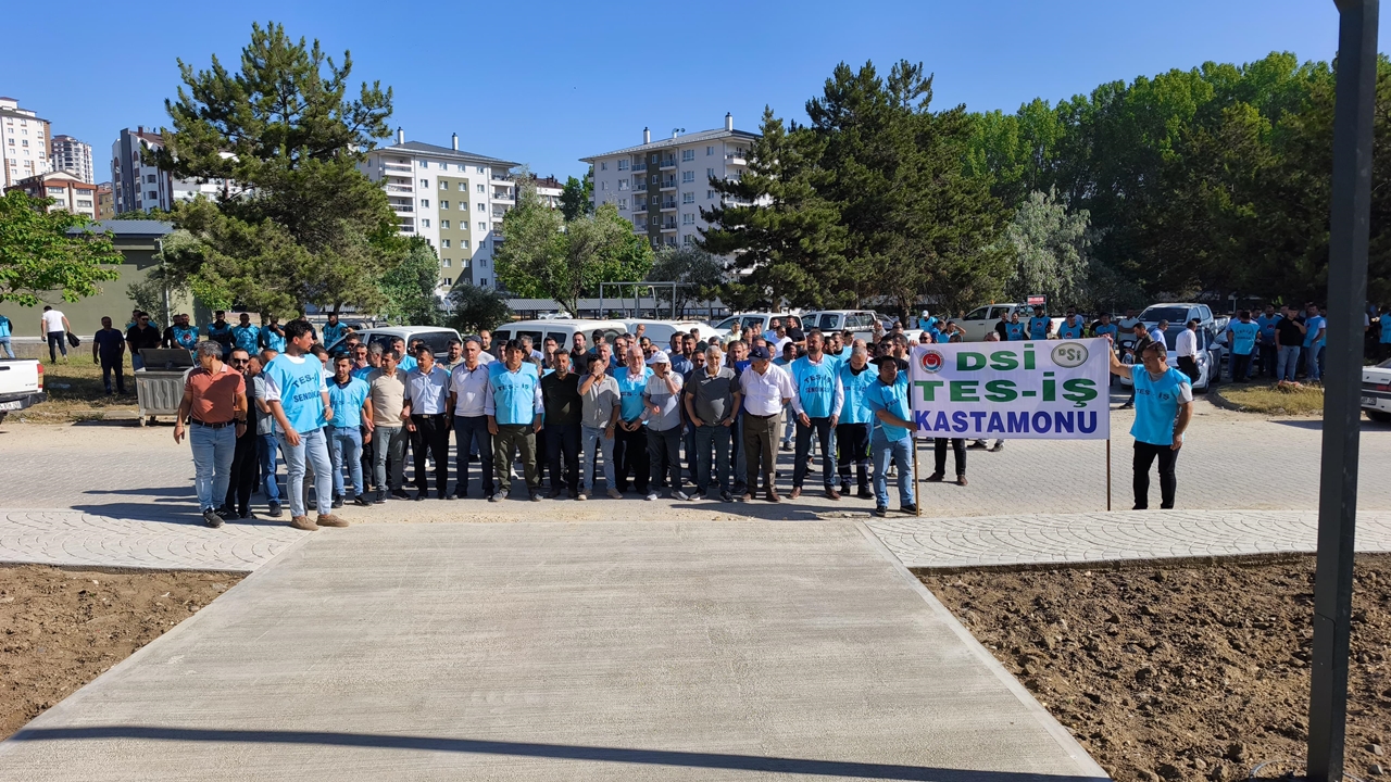 Dsi Tes Iş Eylem (1)