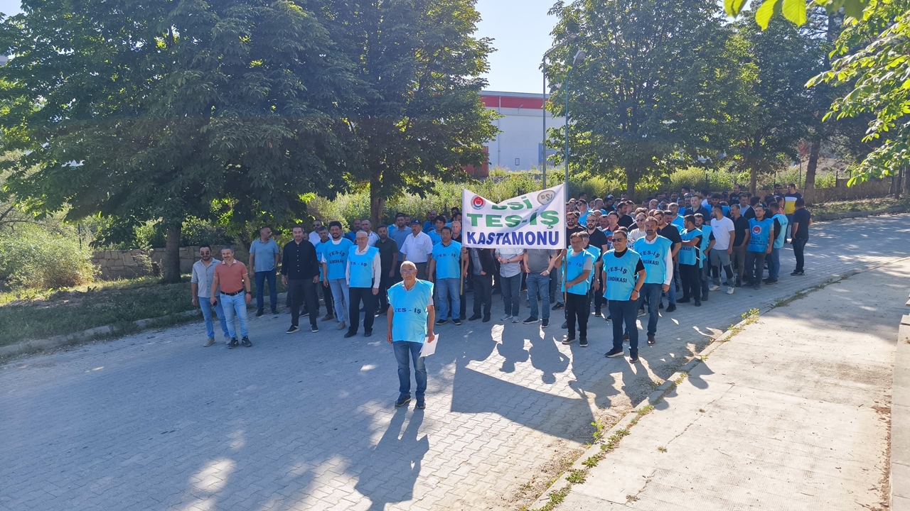 Dsi Tes Iş Eylem (2)