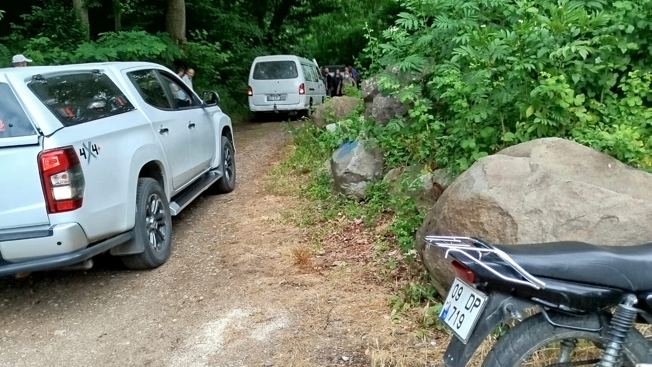 Düzce Ağaç Kesme (1)