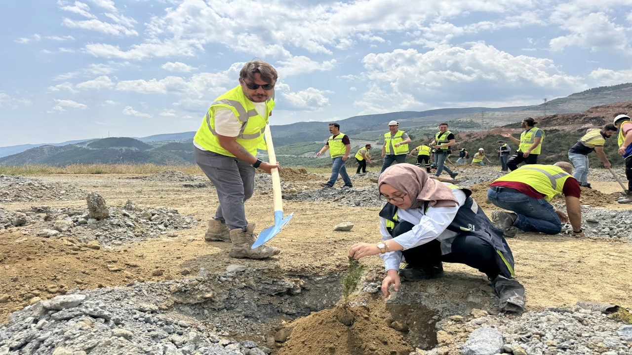Hanönü Fidan Dikimi (5)