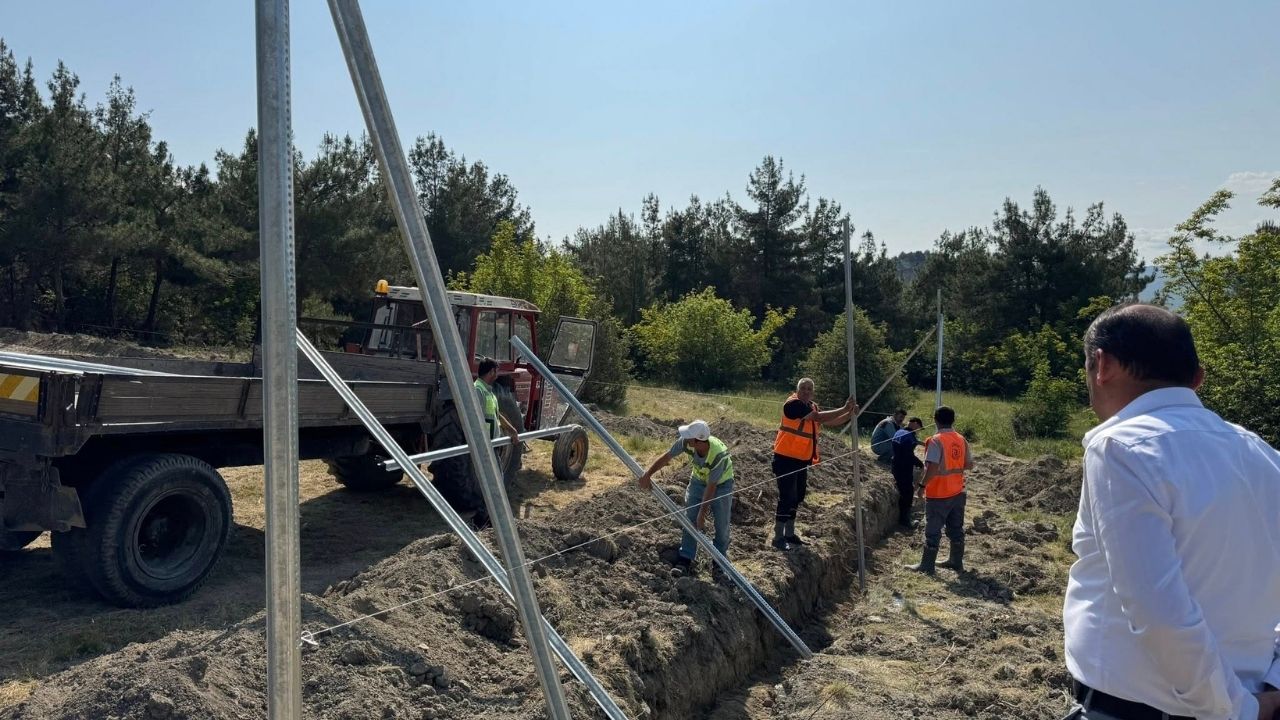 Hanönü’de Sokak Hayvanları Için Doğal Yaşam Alanı Kuruluyor (4)