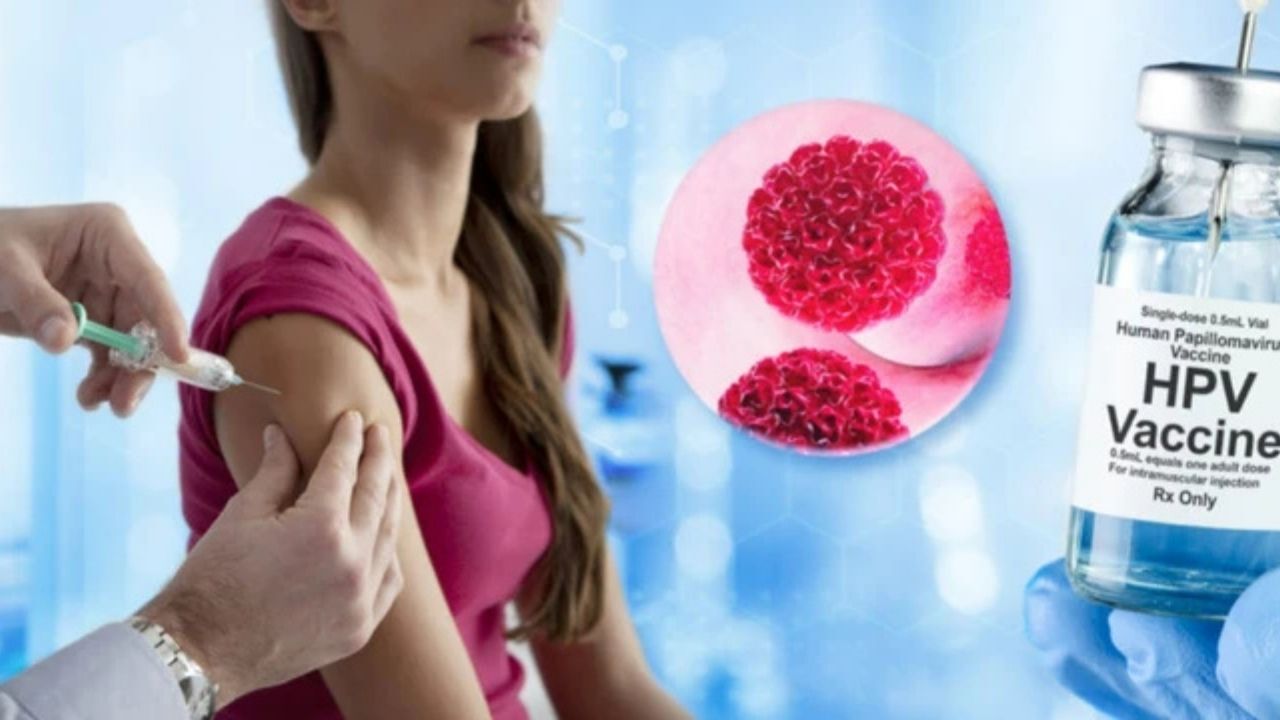 Hpv