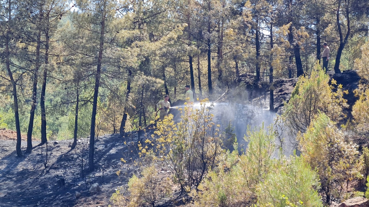 Karabük Orman Yangını (1)-2