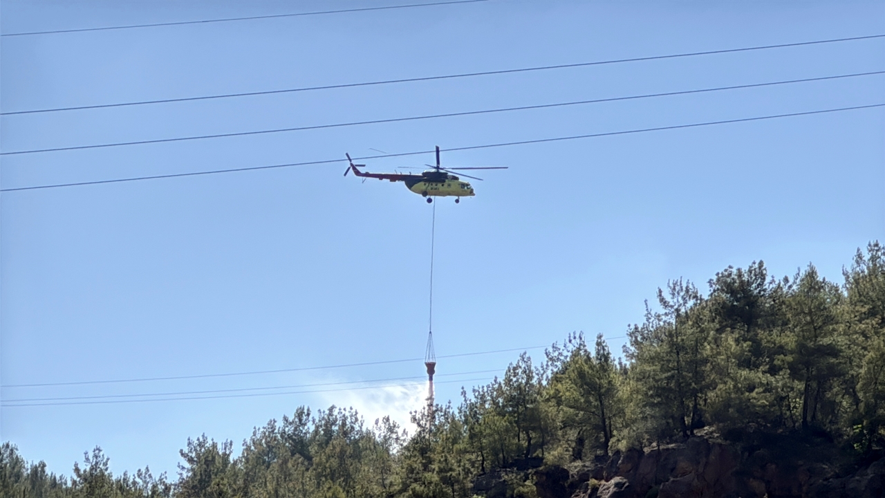 Karabük Orman Yangını (3)