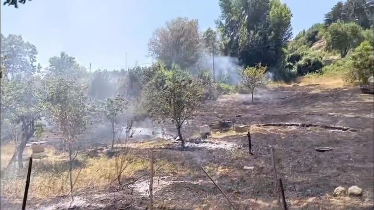 Karabük Yangın (1)-1