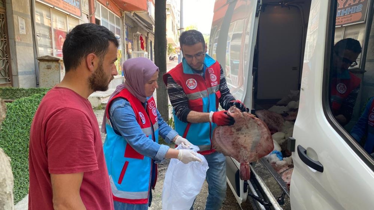 Kastamonu Çatalzeytin Kalkan Balığı (3)