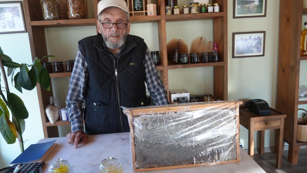 Kastamonu Deli Bal (6)