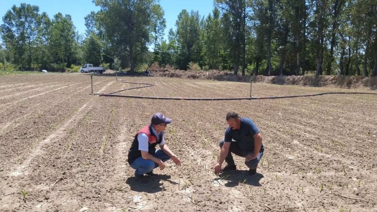 Kastamonu İl Tarım Ve Orman Müdürlüğü Ziyaret (2)