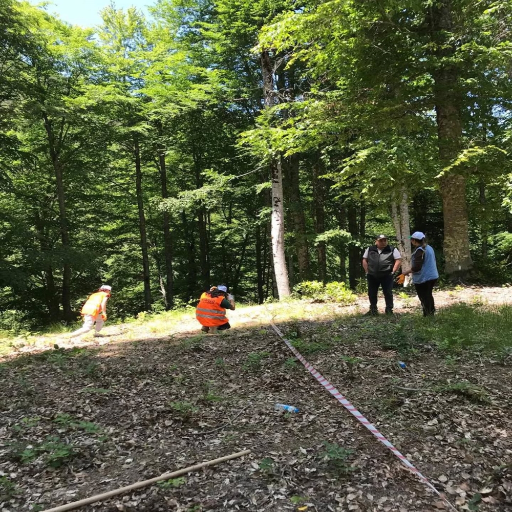 Kastamonu Ormanları Gençlik Aşısı (3)