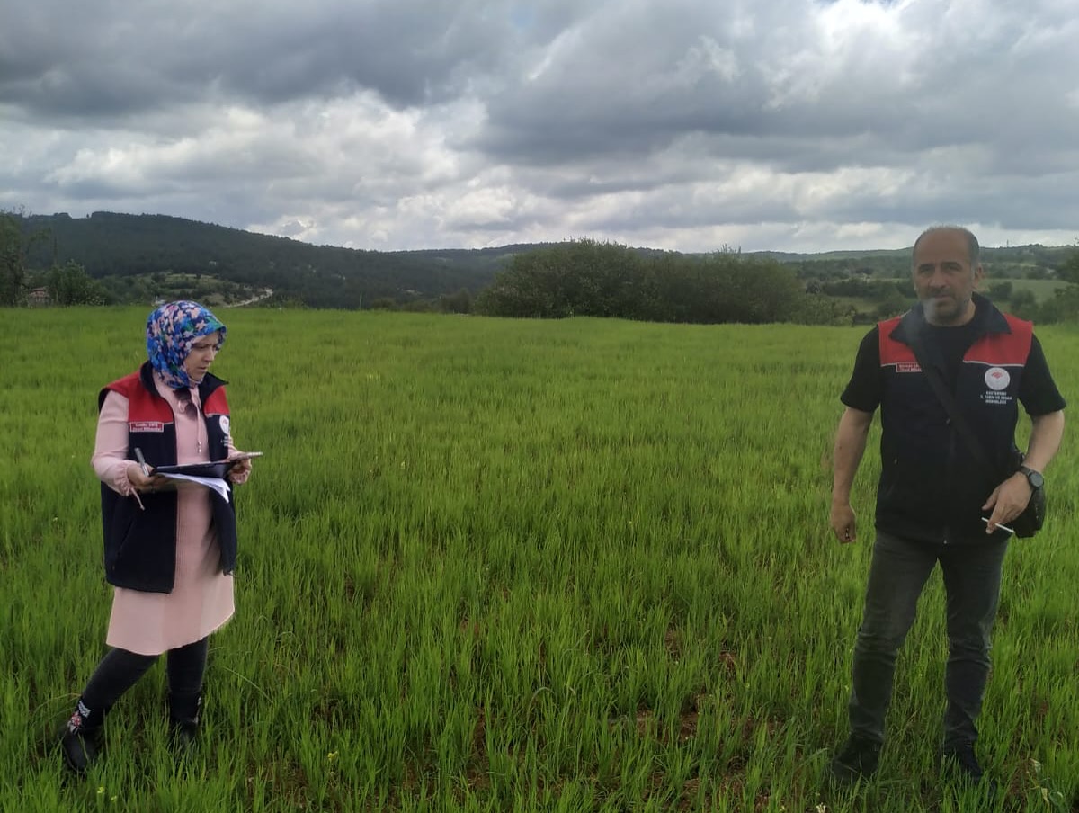 Kastamonu Tarımında Dijital Dönüşüm Başladı 10