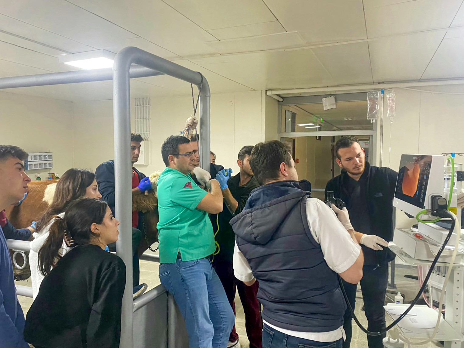 Kastamonu Üniversitesi'nde Yoğun Mesai 5 Ayda 532 Hayvan Şifa Buldu! 1