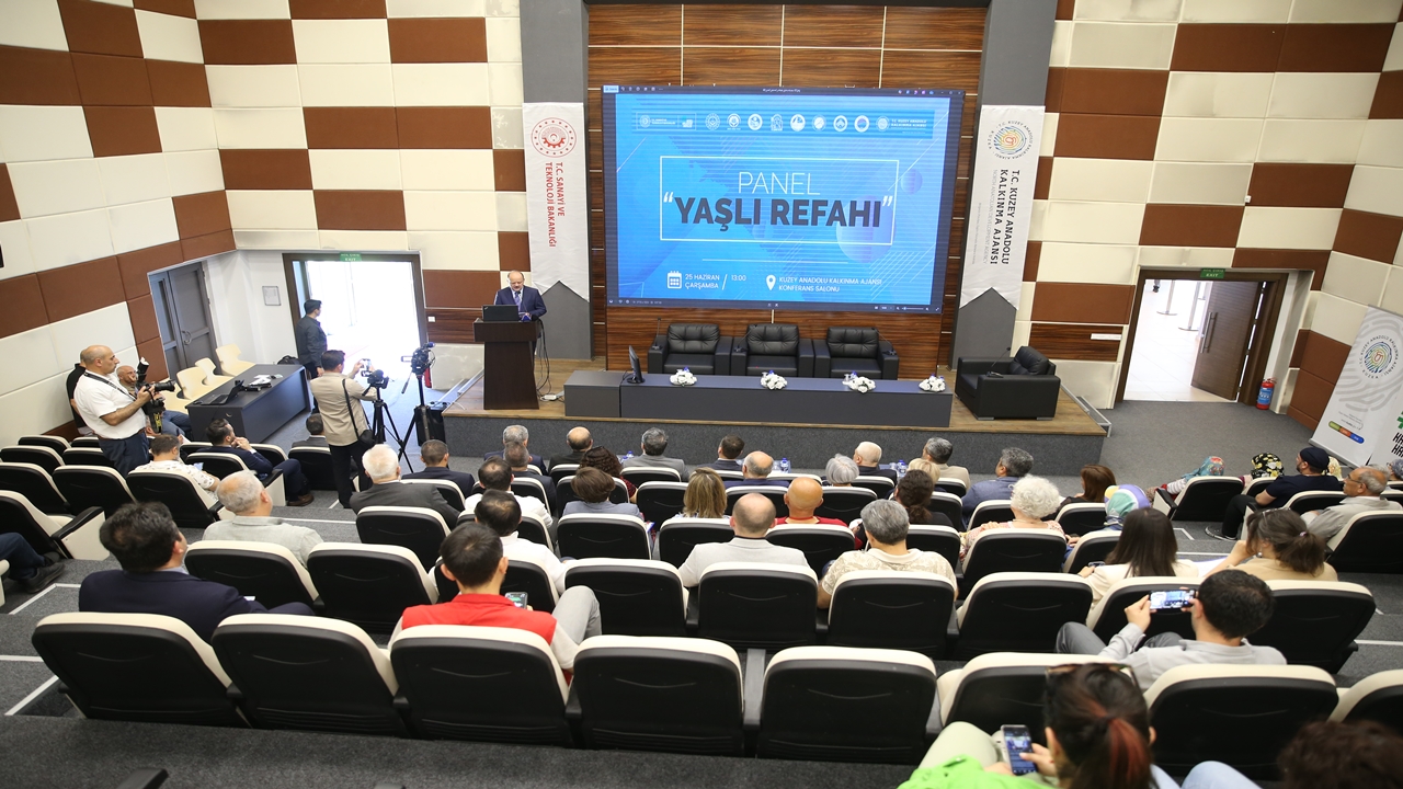 Kastamonu Yaşlı Paneli (2)