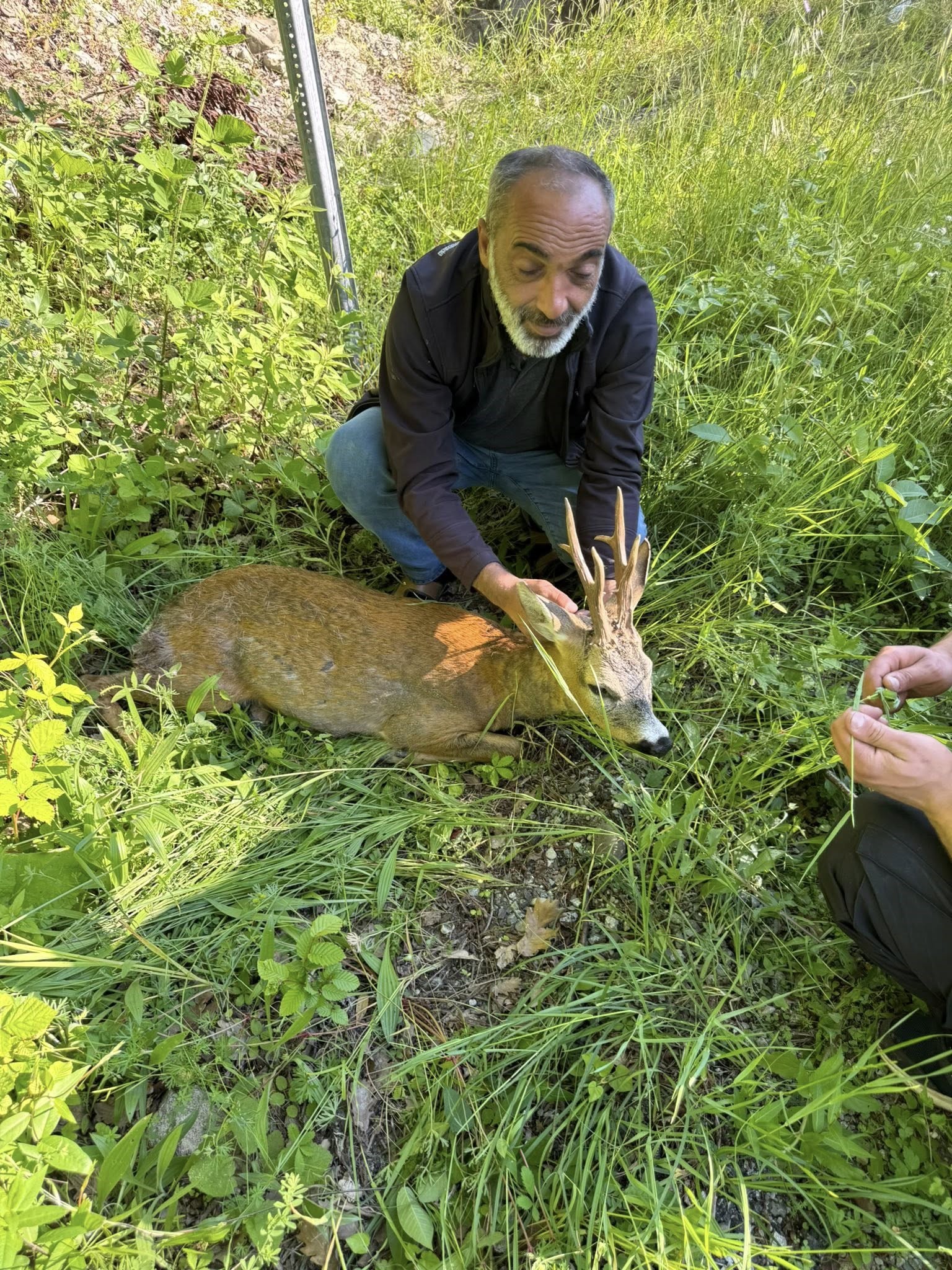 Kastamonu'da 2 Yaralı Halde Bulundu Koruma Altına Alındı 2