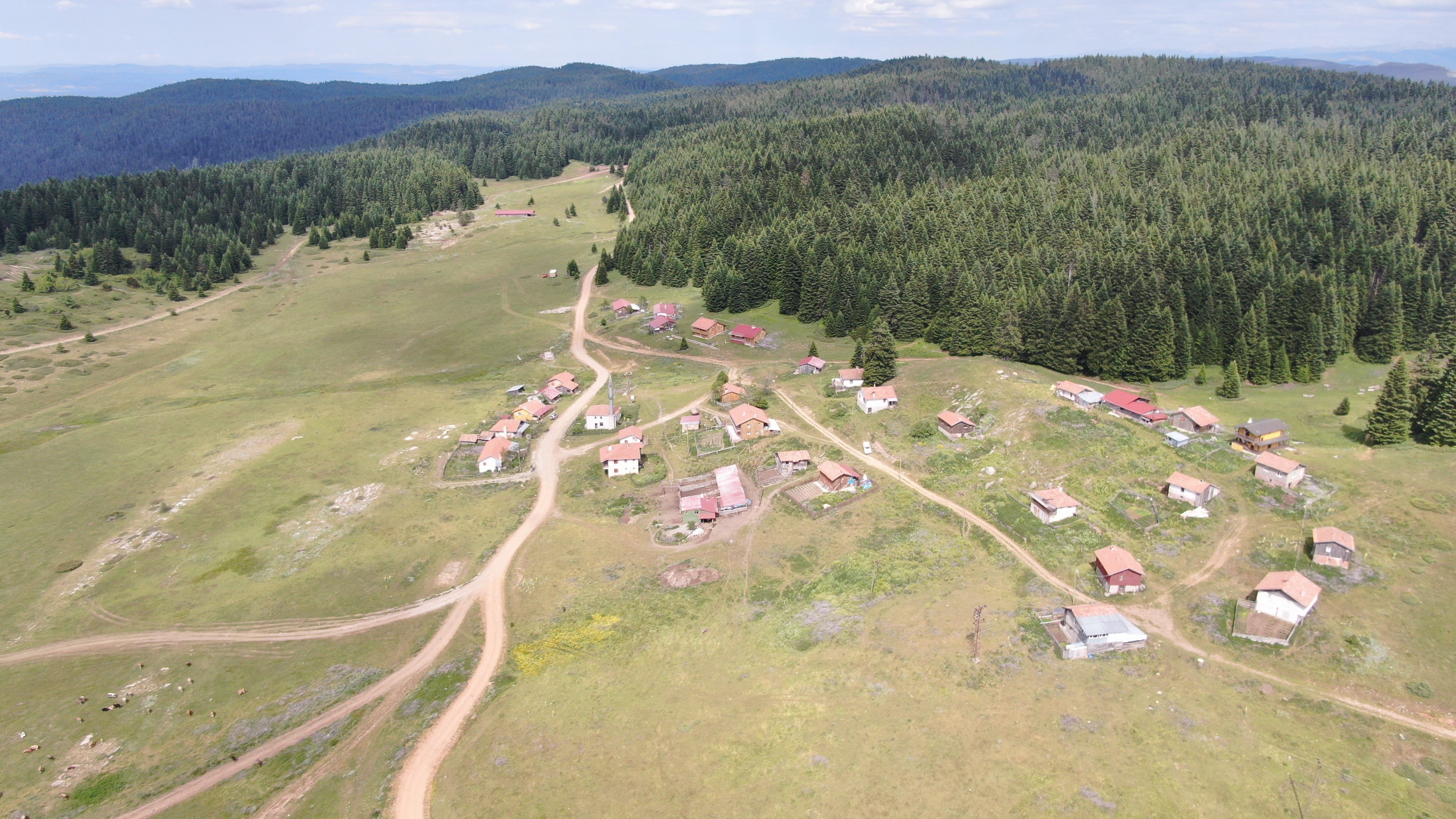 Kastamonu'da 48 Kilometrelik Rotada Bulunan 33 Yayla Koruma Altına Alınacak! 10