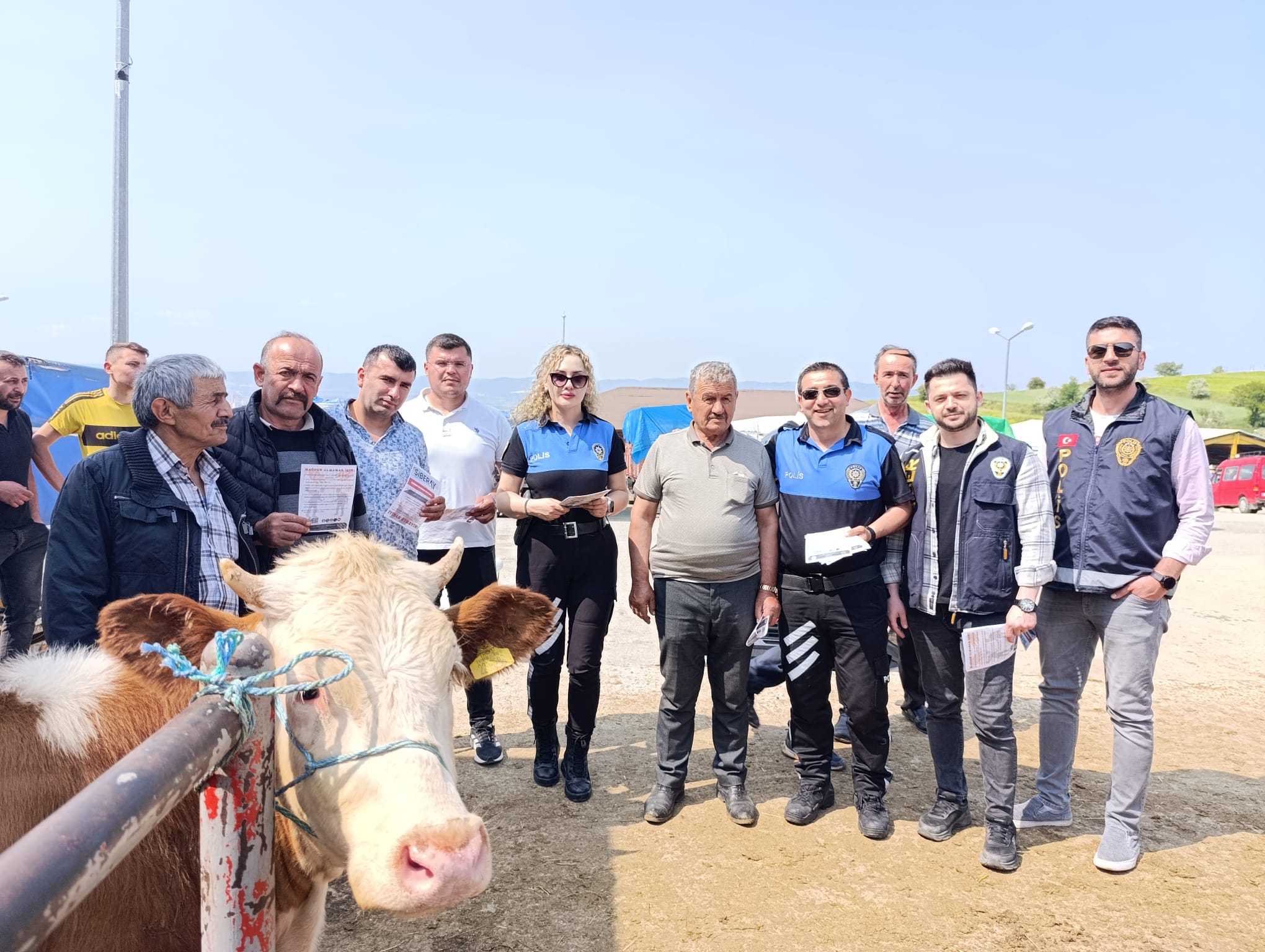 Kastamonu'da Bayram Öncesi Kritik Uyarı! Kurban Alırken Bu Tuzağa Düşmeyin