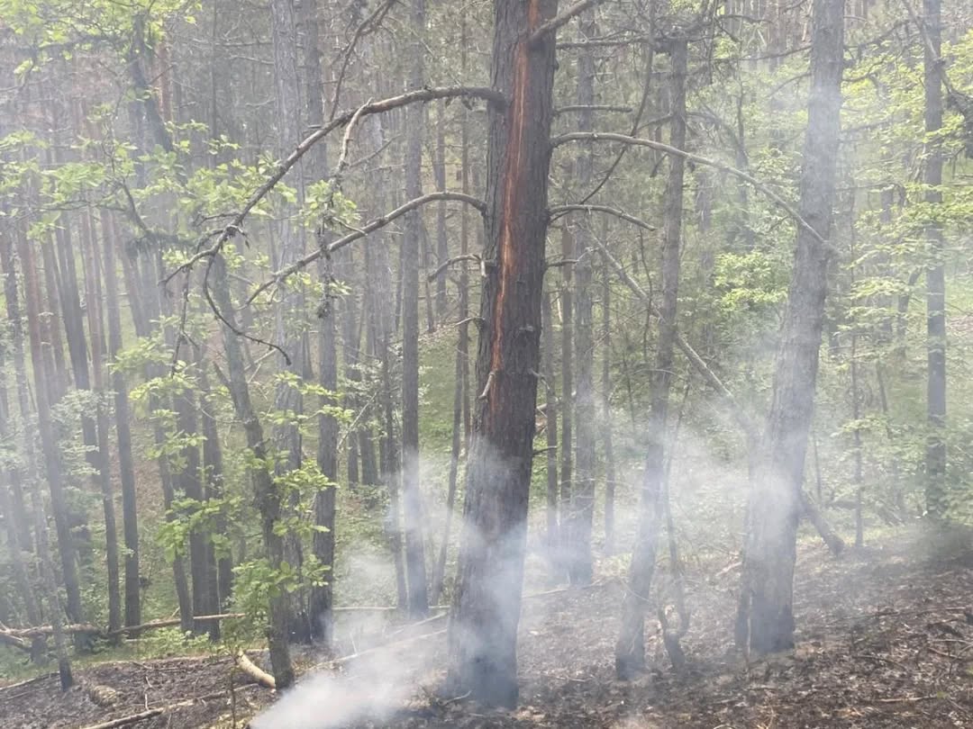 Kastamonu’da Yıldırım Düştü! Ekipler Müdahaleye Devam Ediyor