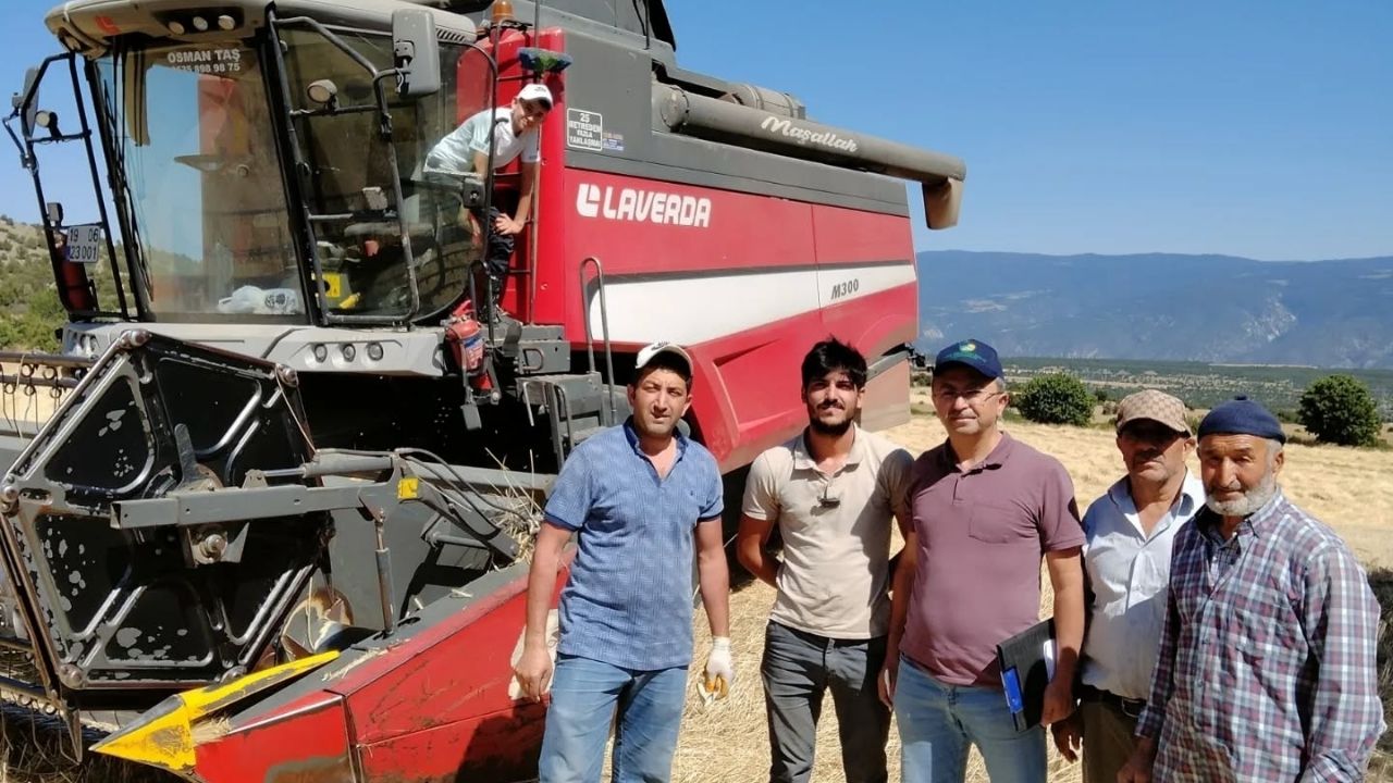 Kastamonu’nun Ilçesinde Hasat Başladı Biçerdöverler Mercek Altında! (4)