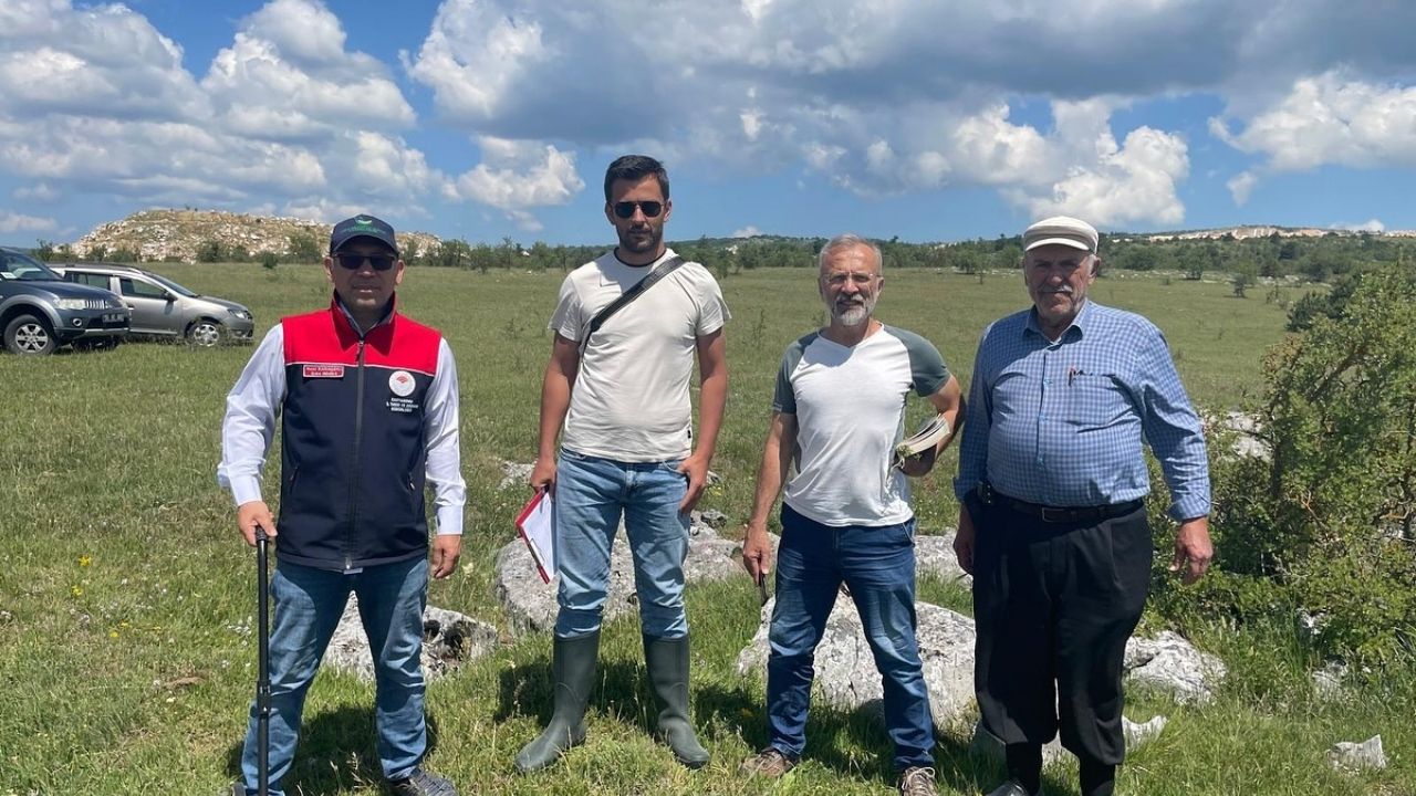 Kastamonu’nun Ilçesinde Mera Verimliliği Incelendi (1)