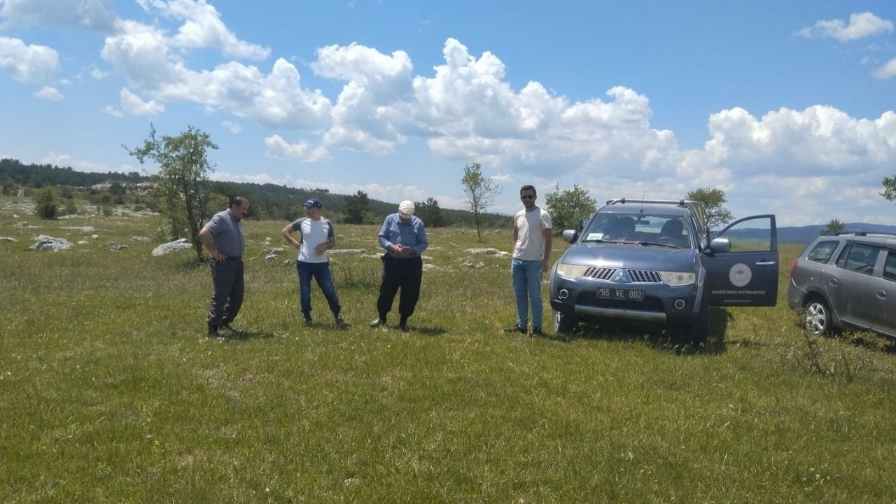 Kastamonu’nun Ilçesinde Mera Verimliliği Incelendi (2)