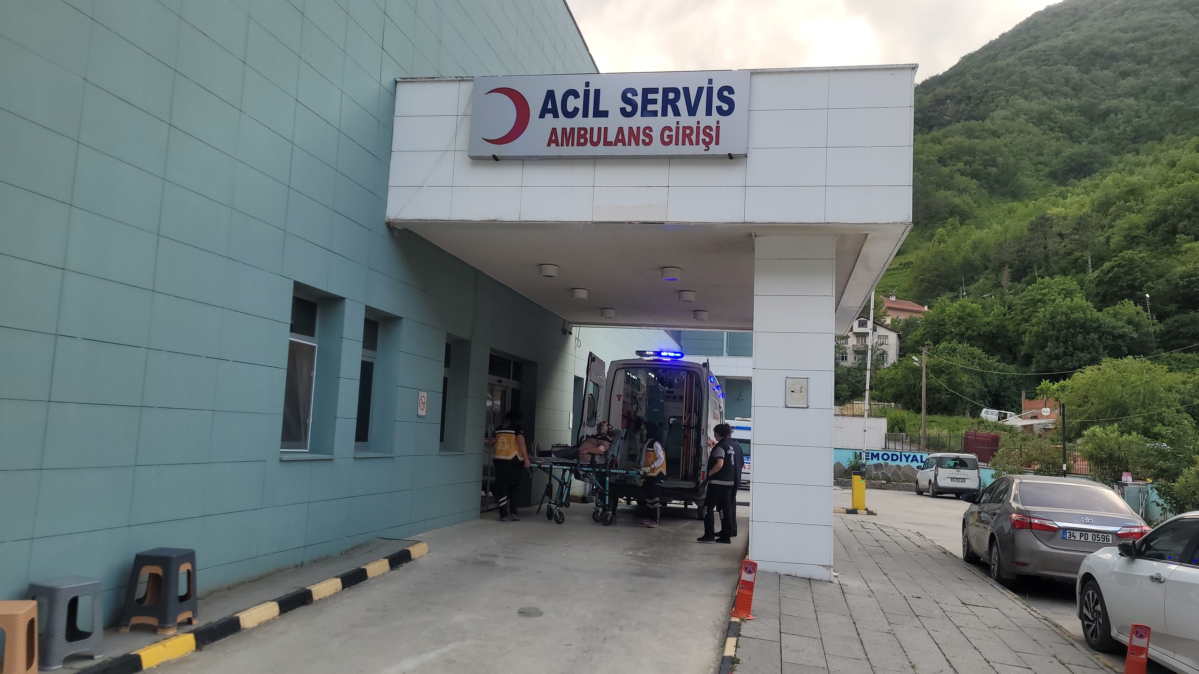 Kastamonu'nun Ilçesinde Yaşlı Kadını Akrep Soktu Hastaneye Kaldırıldı! 2