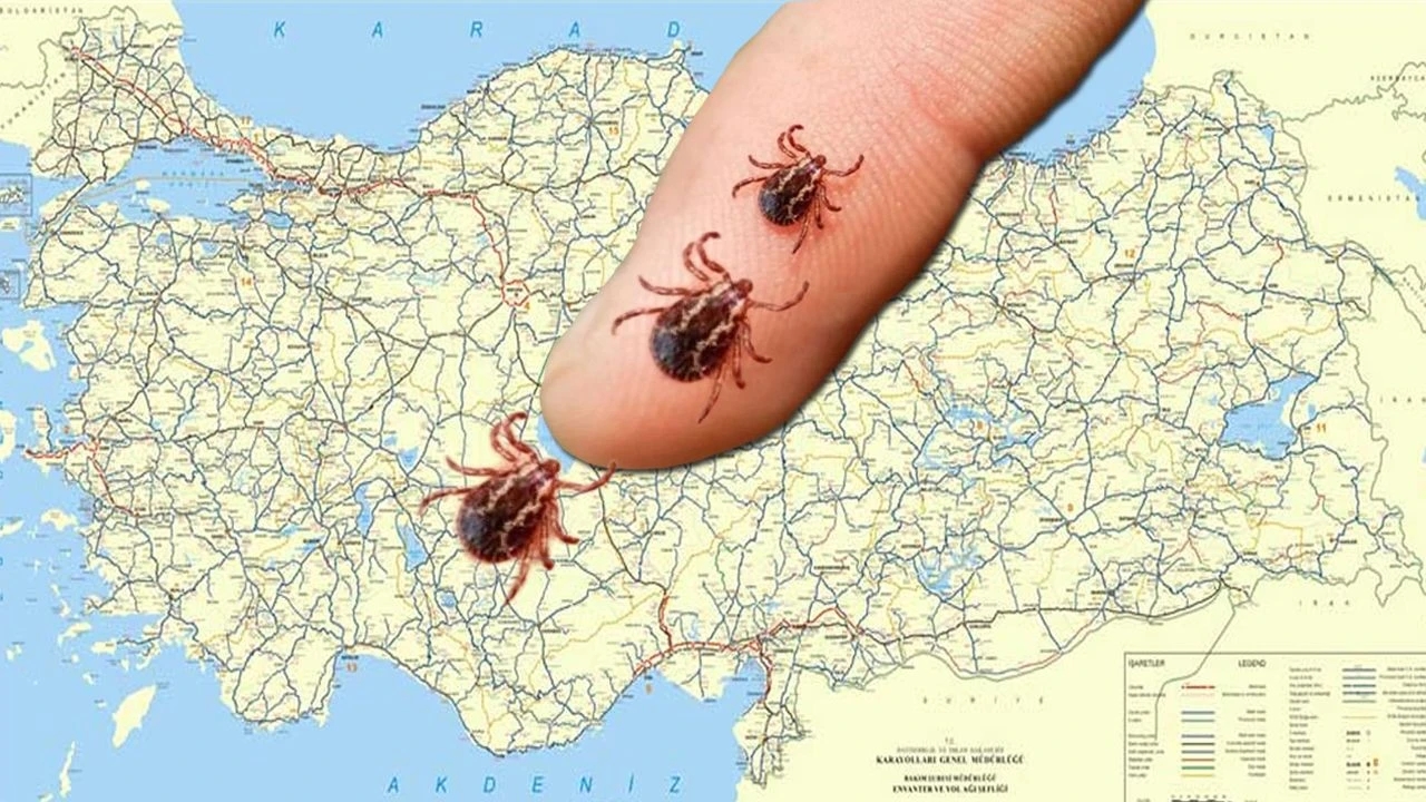 Kene Haritası (3)