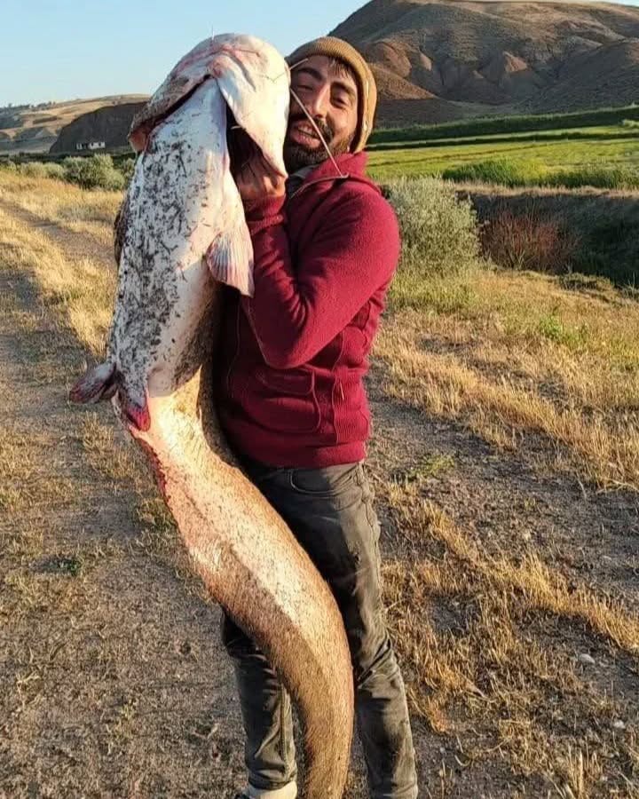 Kızılırmak’ta Amatör Balıkçı, Boyundan Büyük Balık Yakaladı!1