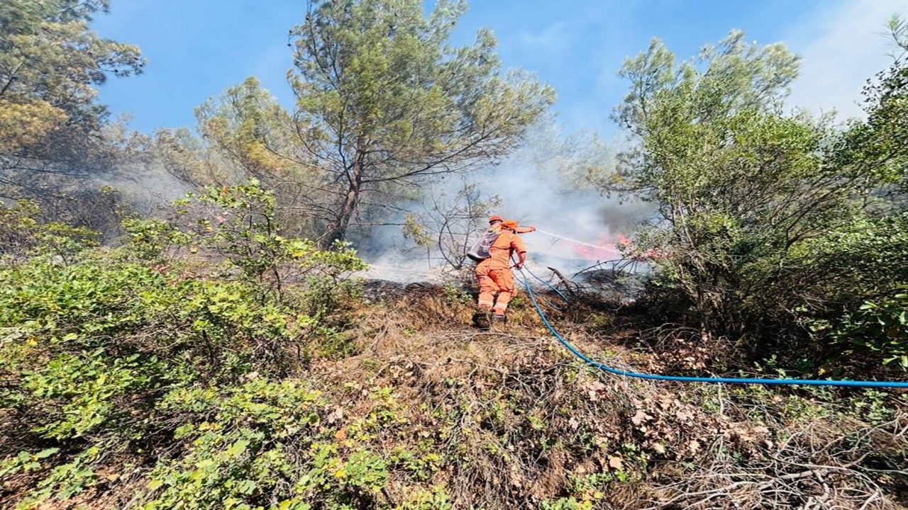 Manisa Yangın Bakan (2)