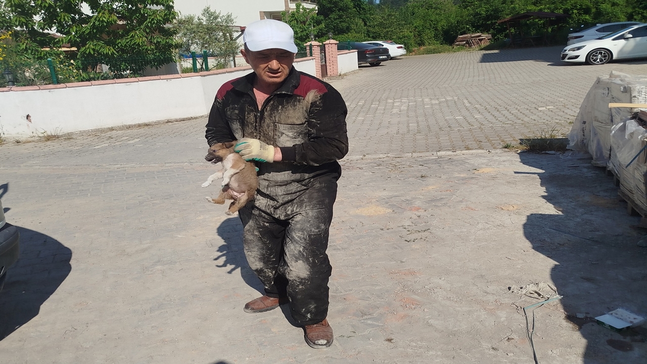 Sokak Köpekleri Uyuşturucu (6)