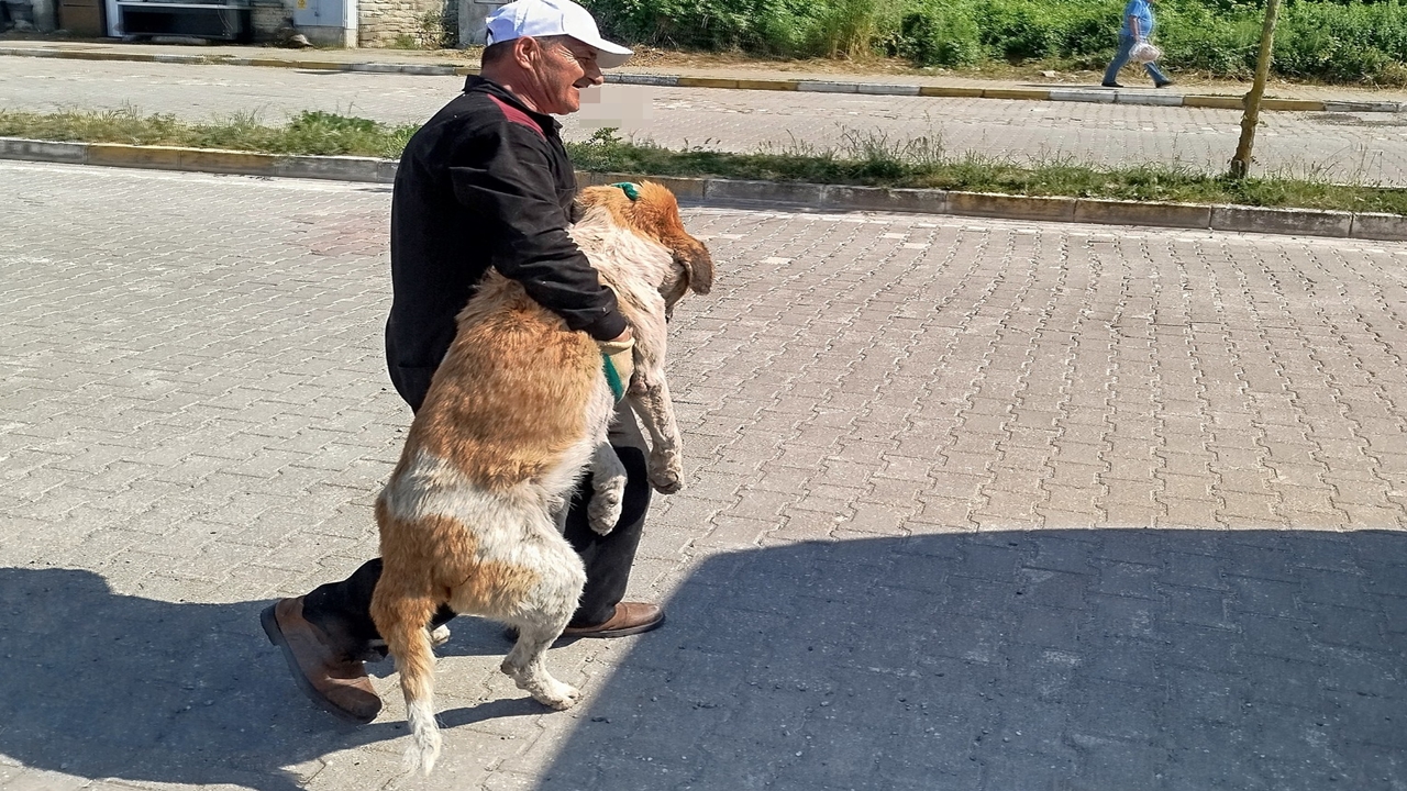 Sokak Köpekleri Uyuşturucu (9)