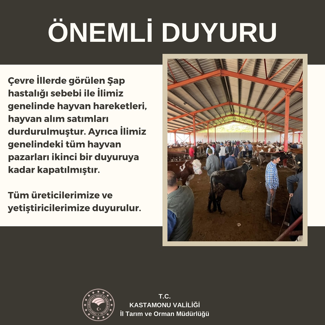 Son Dakika Kastamonu'da Hayvan Alım Satımı Durduruldu, Pazarlar Kapatıldı! (1)